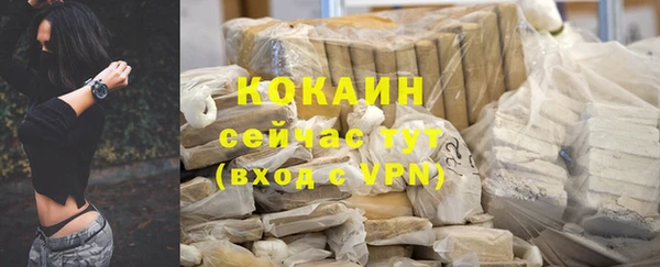 гашик Пестово