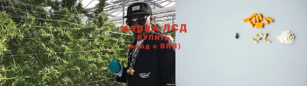 мяу мяу мука Пересвет