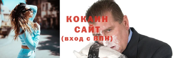 гашик Пестово