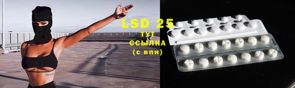 гашик Пестово