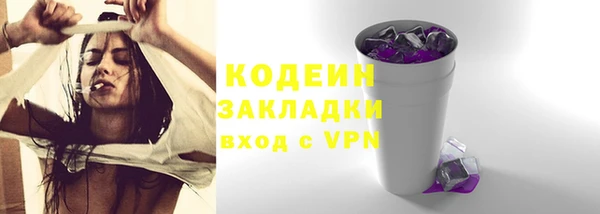 гашик Пестово