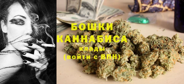 гашик Пестово