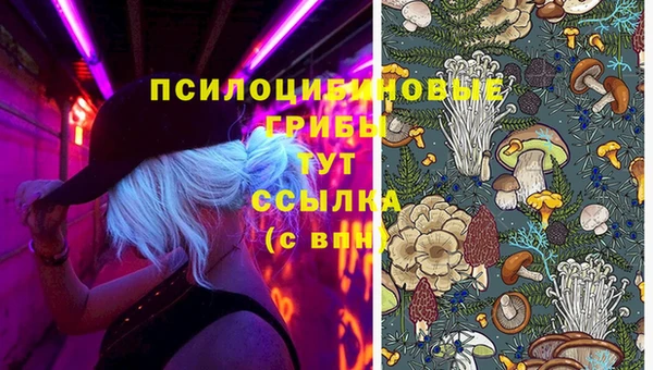 тгк Переславль-Залесский