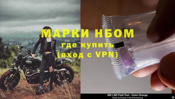 гашик Пестово