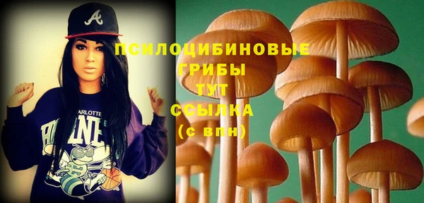 мяу мяу мука Пересвет