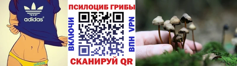 купить наркотик  Фёдоровский  Псилоцибиновые грибы прущие грибы 